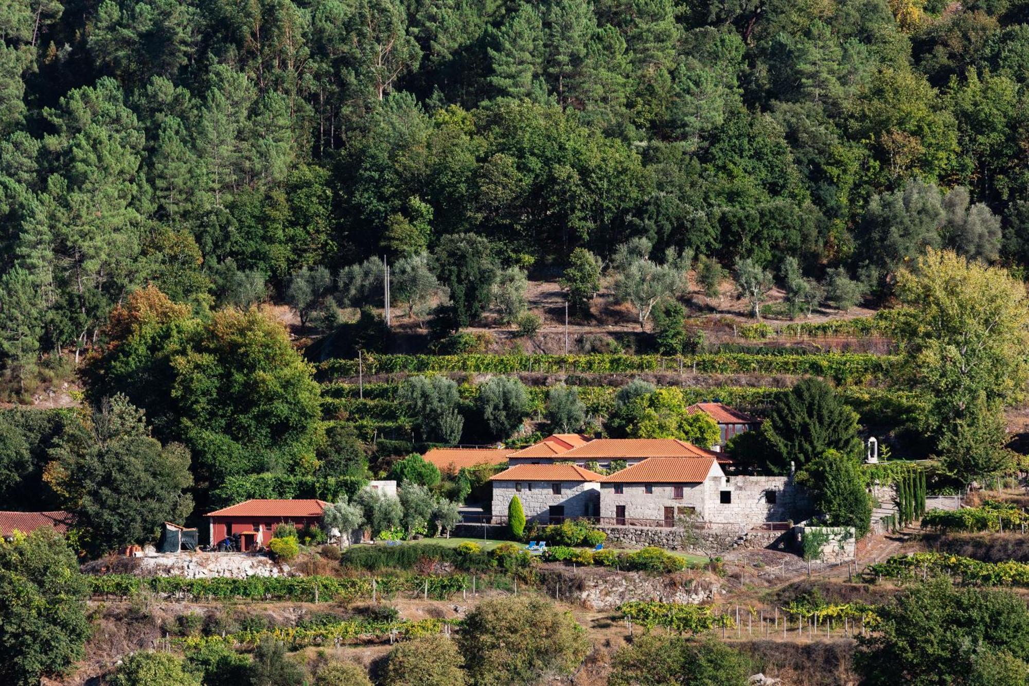 Quinta Da Pousadela - Agroturismo Guest House Amarante Exterior photo