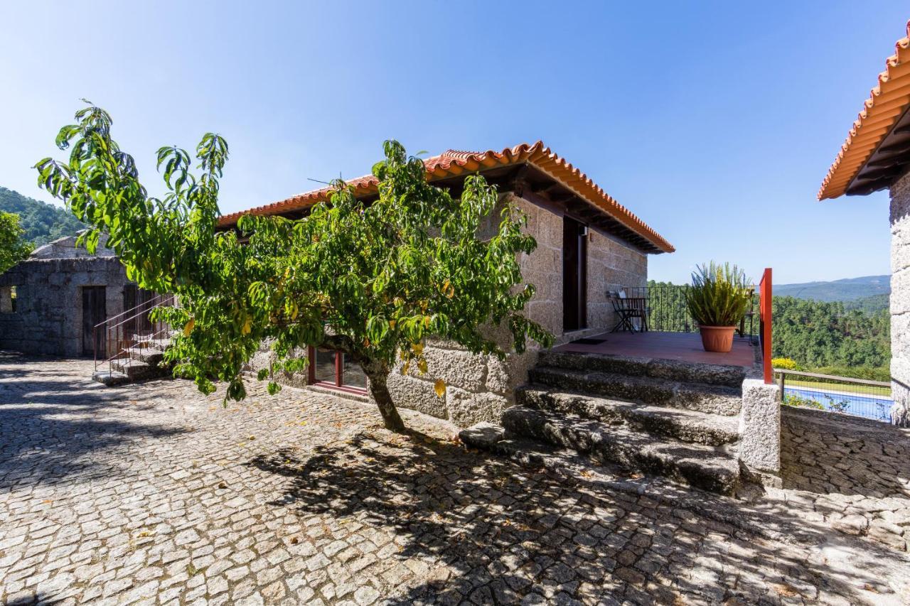 Quinta Da Pousadela - Agroturismo Guest House Amarante Exterior photo